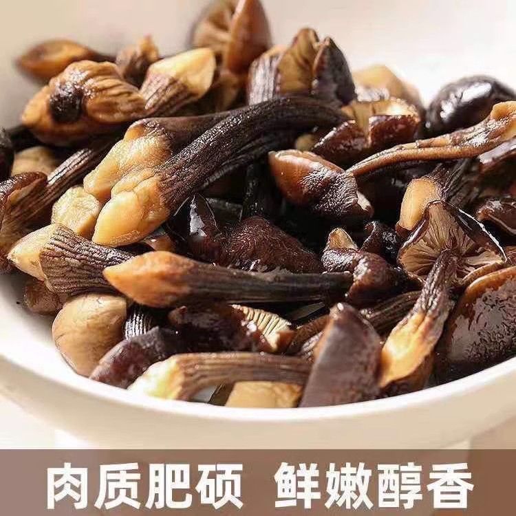精选黑皮鸡枞菌干货云南鸡纵菌新鲜特产野生菌火锅食材煲汤材料
