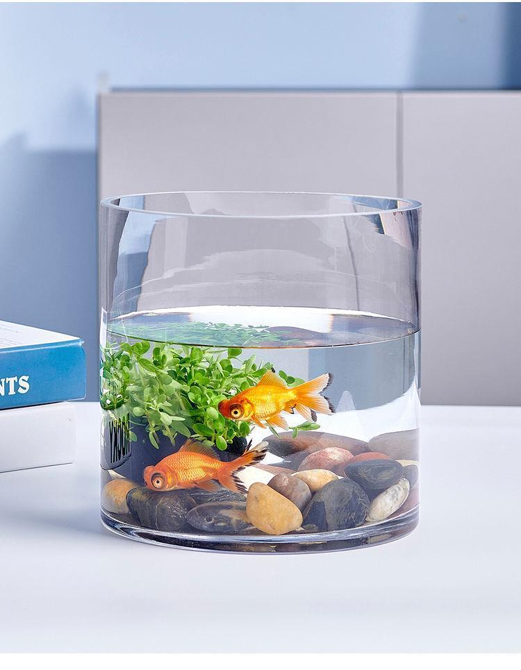 be8685ad-626f-4902-b3a2-65218c624802.jpe