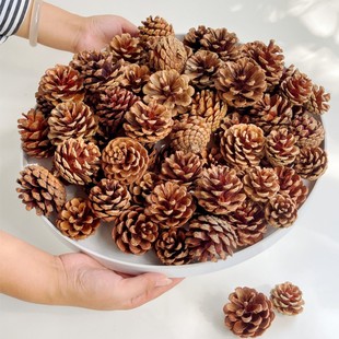 ���ɹ�100����ϳߴ����Сdiy�b��ɹ����׃��@�}�Q�ɹ�