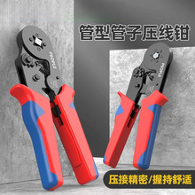 ���l�Ӿ����Ӊ����Q��������䉺���Q�A���Q�Ӊ����Q늹�