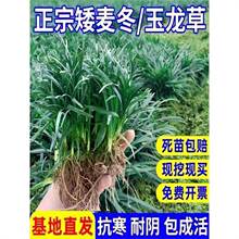 ��������ͥԺ���������ͺ��`̤�@�־G����ľ��ƺֲ���߅������