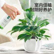�������ֲ���K��荾G�}�jˮ����~�Gֲ�����k���҃ȑ��˺��B����