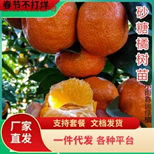 ���Ә����Թ���ɳ�ǽ��Ә���ɰ���ٳ��ӽ���ϱ����Nֲˮ�������