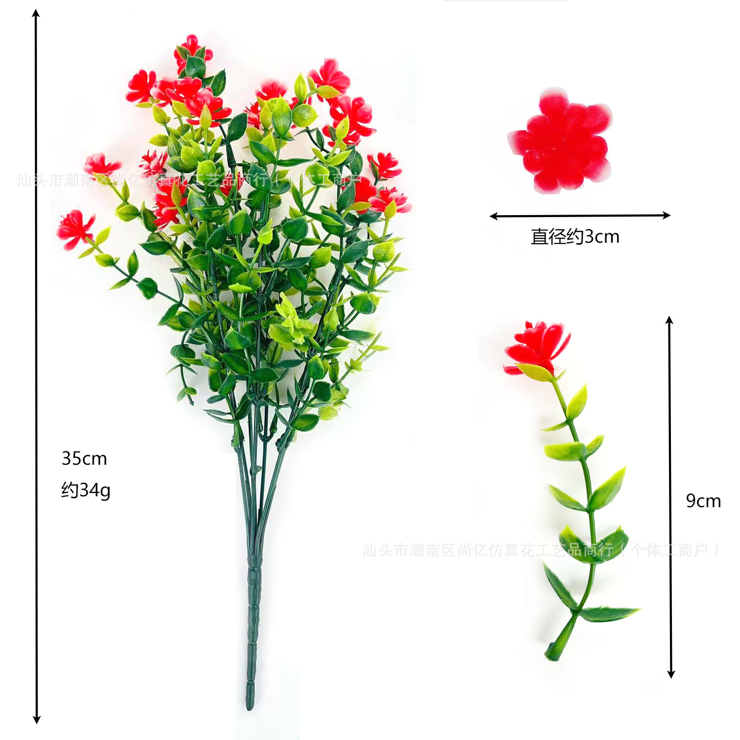 Camellia de Yugaly - rojo grande