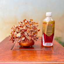 黄水晶摇钱树摆件大招财宝树树家居创意酒柜家装饰品客厅电视柜