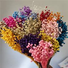 ��ϸ��F���ɻ�  �������򻨲� ��˼��  DIY����  ����С�ǹ�