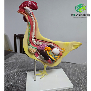 �u����ģ�� �á�؈���u���i���~���K�ɲ�жģ�� �����������ģ��