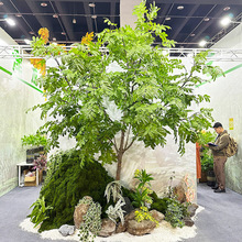 ��������Ř��L�~�S�Gֲ�쾰�M���̈��҃Ⱦ��^�����b�ֲ��