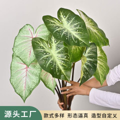緑植海芋の葉の室内の家庭装飾植物の壁の葉の台所の窓の造景をシミュレーションします。