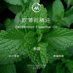 �W����/�������Ɇη�����&middot;���� ���췼��ԭ�����l ��Ħ�o�w��޹