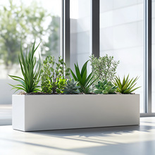 ���ⲻ�P䓻����̨�Nֲ��V���̘I���L���λ����Fˇ��Ʒ����