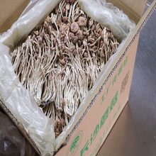 廠家直供湖南湘蕈茶樹菇干貨批發未開傘出口食用菌8kg整箱散貨