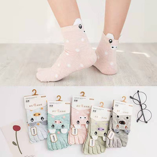 �ﶬ��Ůʿ��Ͳ��ֺ�m����ϵ��ͨ���m�S�����l����ָ�m