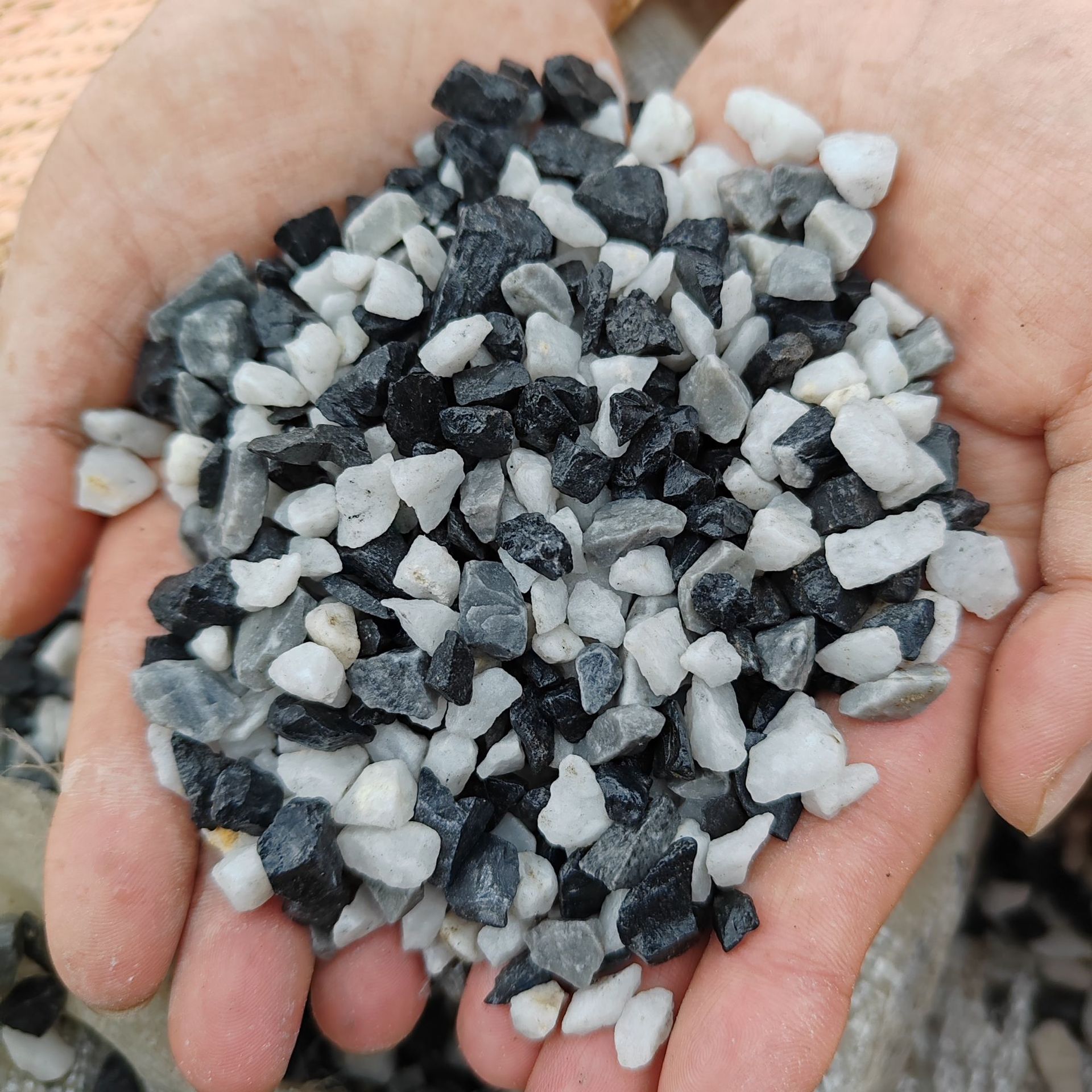 微信图片_2025-04-21_135652_501