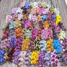 7^m滨zƬָмٻcҾӲ廨Y鷿b