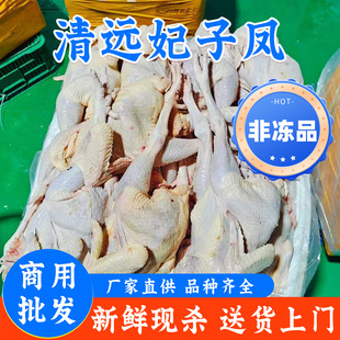 ���u��ȫ�u�����u�����P���r�u���l������B���l