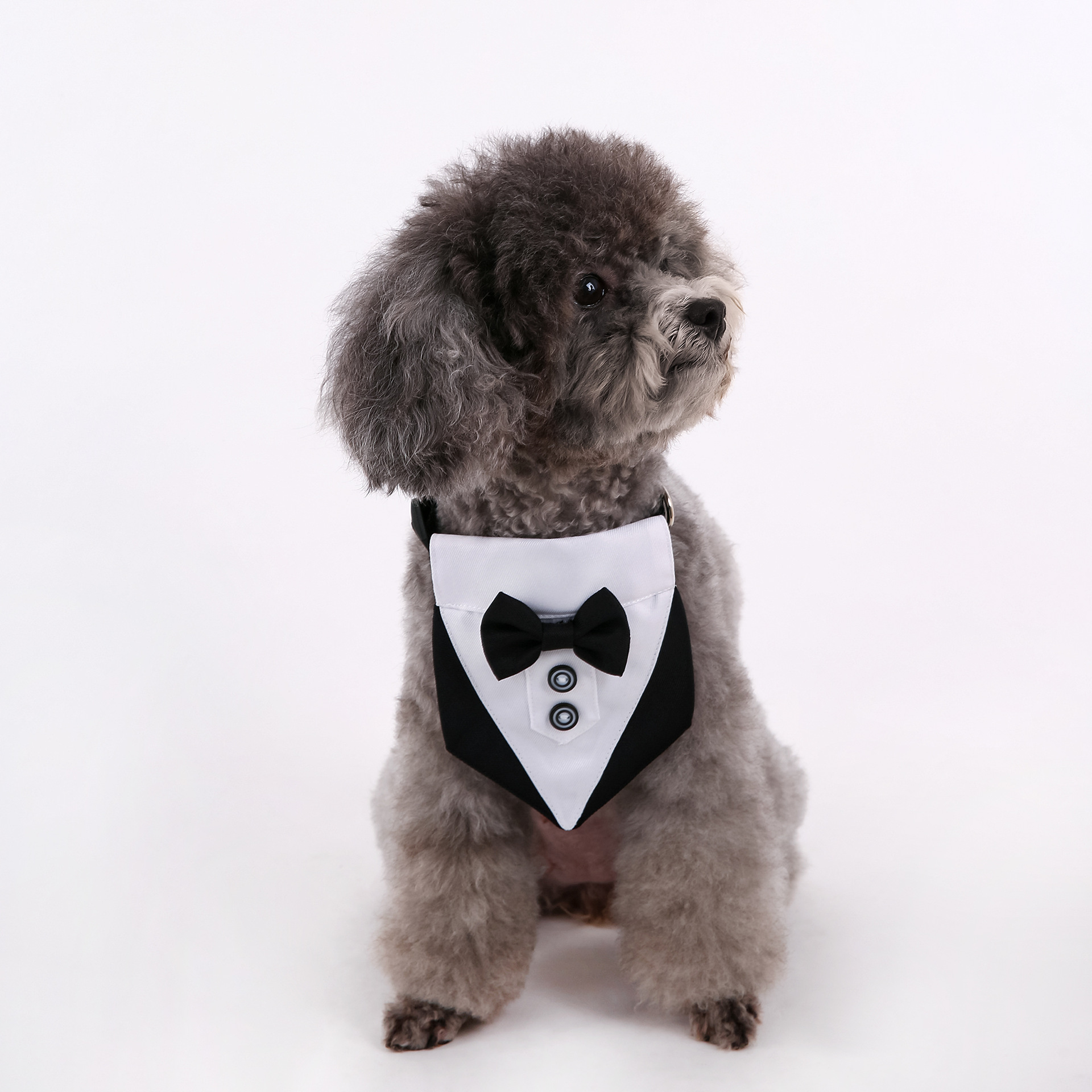 Transfronterizos nuevos trajes de boda de estilo británico perros y gatos toallas de saliva de boda toallas de triángulo para mascotas bufandas suministros