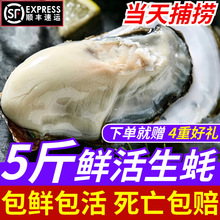 ʮ����B노��r��������rĵϠ�����⺣Ϡ�Ӵ������rˮ�a���l5��