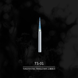 Dispai Tungsten Steel Triangular Engraving Knife Ts-01 Model Tool Mold Line Repair and Modification Triangular Scraper