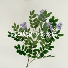 厂家直销新款槐树花仿真花仿真植物家居软装摆件插花黄槐花绿植花