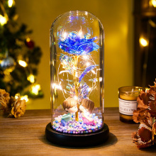 ��Ϧ���˹���Ů������Ů�����������������YƷ�߼���õ�廨��