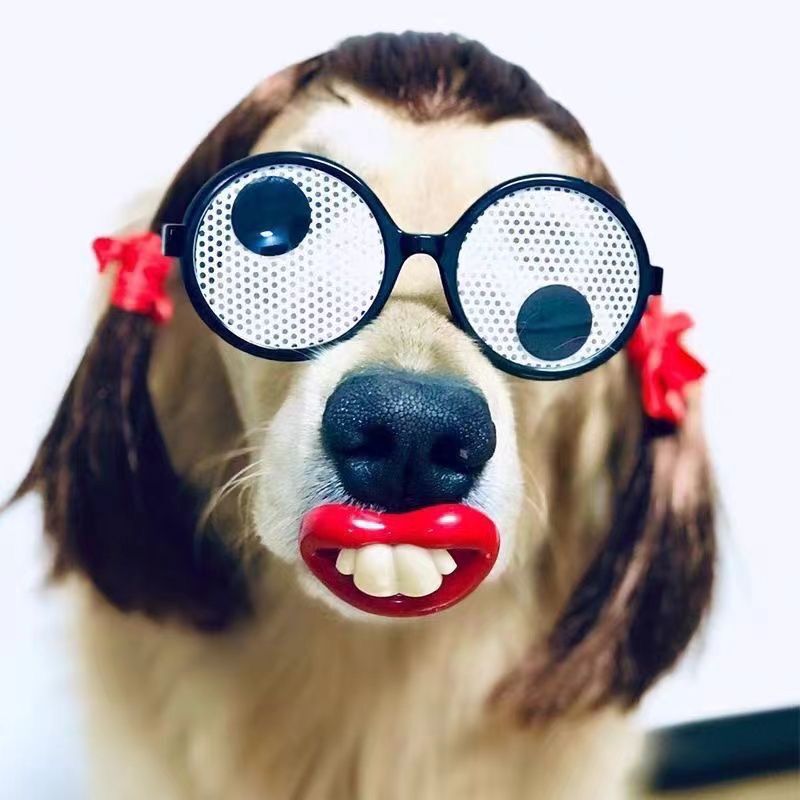 赤い唇のウサギの歯と同じスタイルの面白い犬のおしゃぶり面白いおもちゃの出っ歯ペットの犬面白いおしゃぶり|undefined