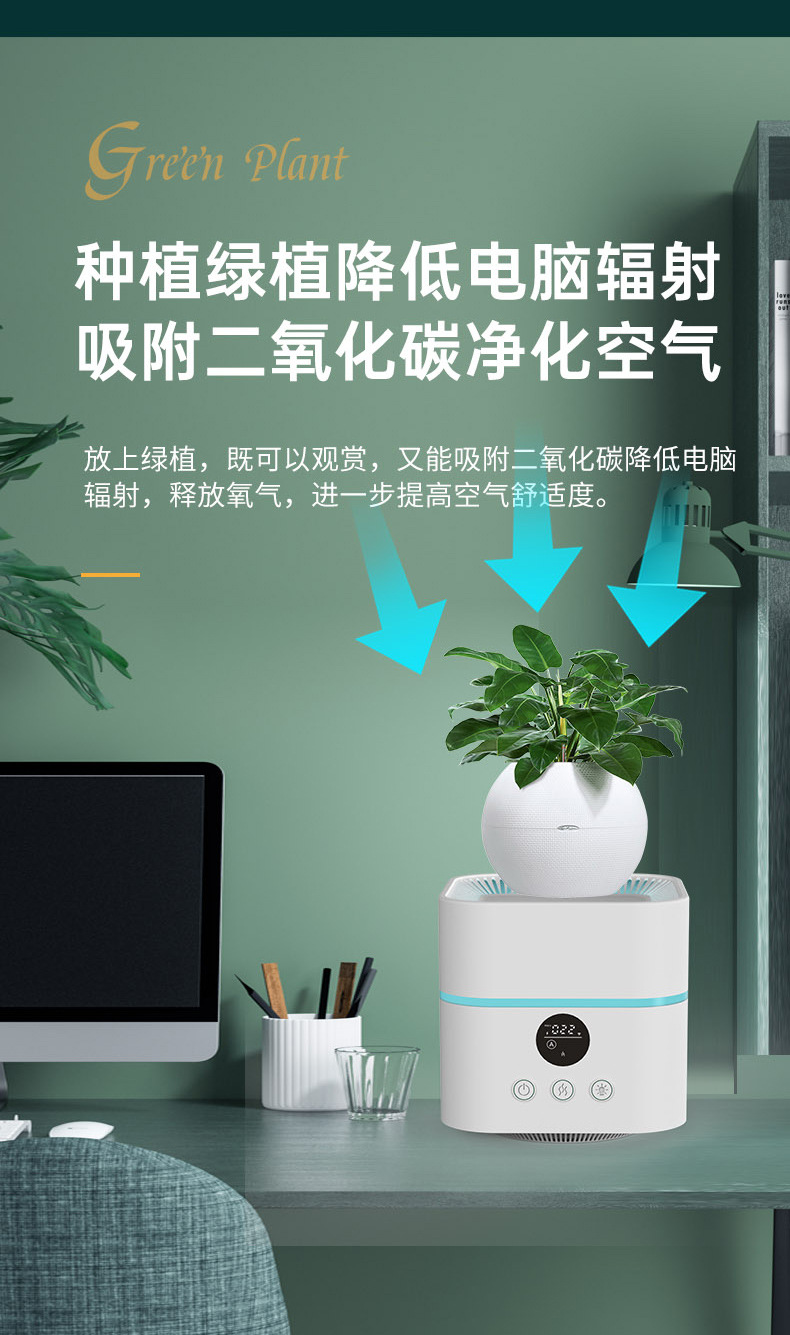 详情 (10)