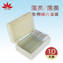 �@΢�R������Ƭ10�N������b���ﲣƬ���b