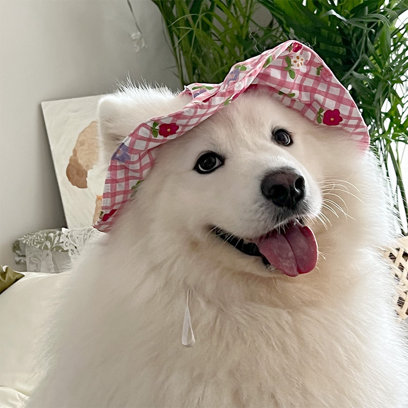 2025新款狗狗护肘中大型犬萨摩耶金毛阿拉斯加外出保护护膝|undefined