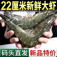 ���r�������r���r���r�������r�r��������r�����r���r���rˮ�a