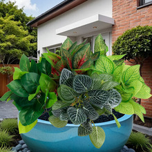 ����ֲ��W�y�~��Ҿ�ͥԺ�bGֲ�����b��@�쾰�����ϼ�ֲ��