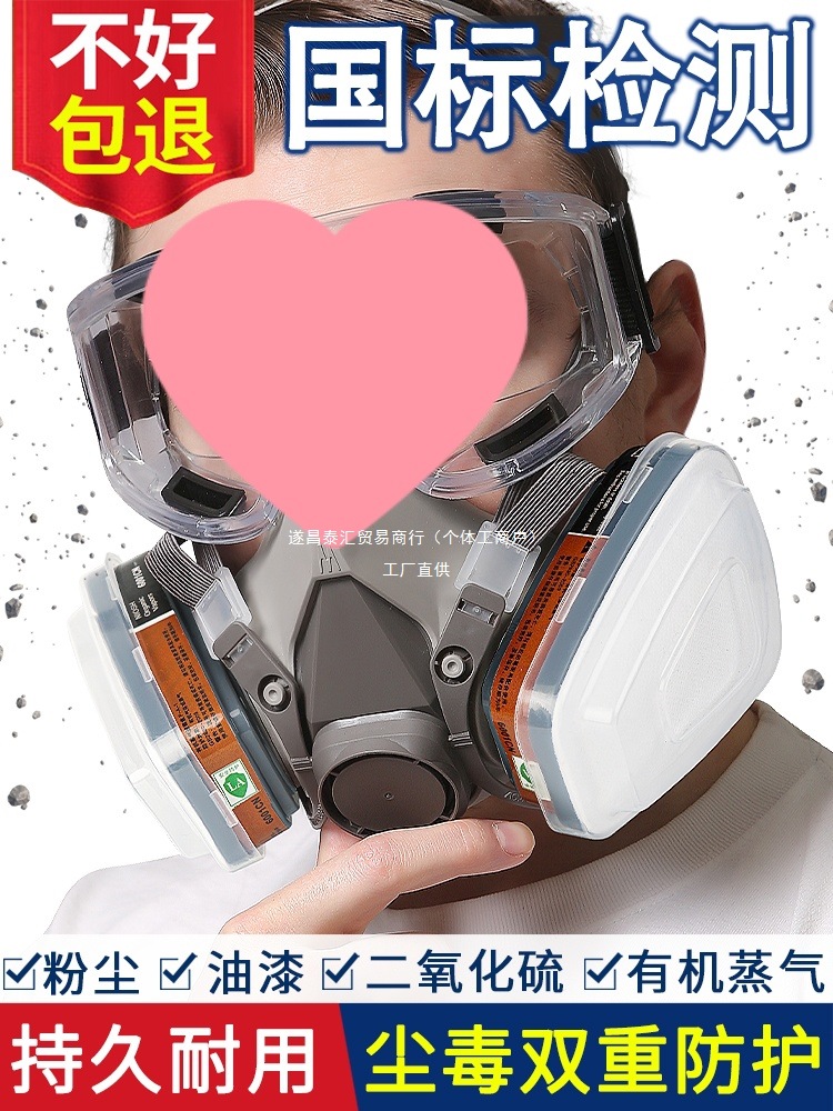 防毒面具全面罩防尘面罩全脸防护口罩放毒氧气打农药喷漆化工泰汇