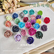 ���F؛�ٰl��õ�廨�^���z�滨DIY����ɻ����h���Ʒ����耳׿�