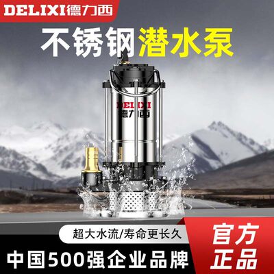 Насос для чистой воды Delixi из нержавеющей стали, многофункциональный насос для сточных вод с высоким подъемом, погружной водяной насос для сада, сельхозугодий