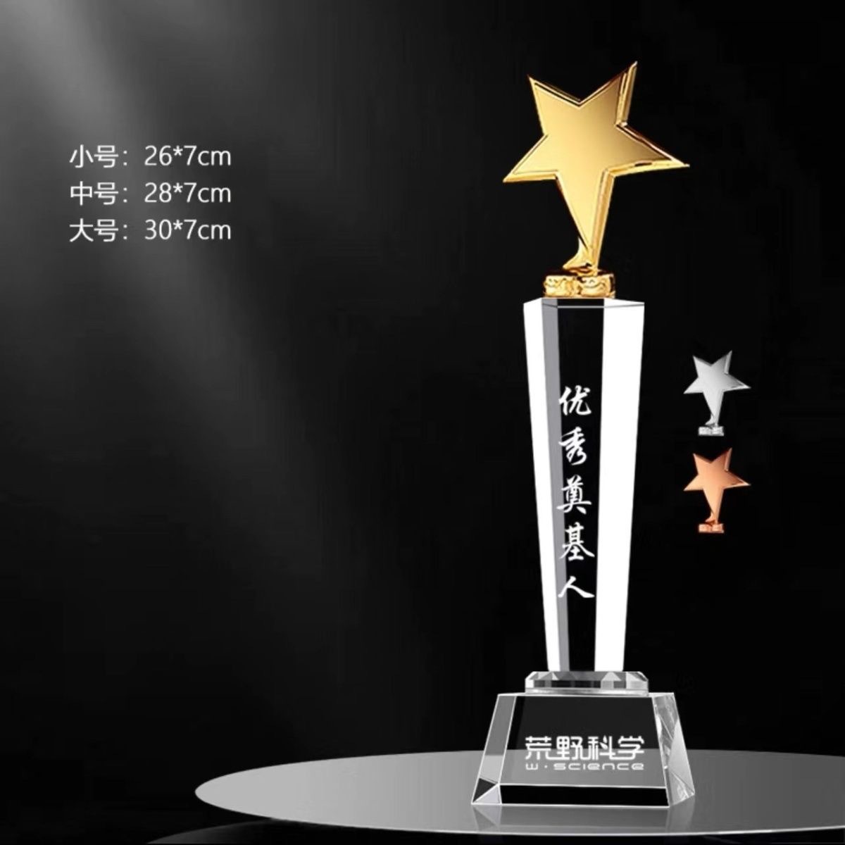 Trofeo de una sola estrella (28cm)