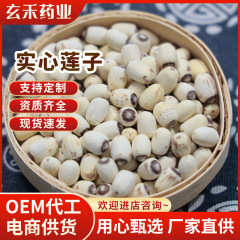 带芯莲子有芯白莲500g无硫熏有芯莲子煲汤熬粥电商代发大货批发