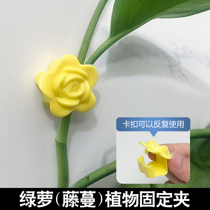 アマゾンの新型の花の緑のロロの固定器の痕跡がない家庭用のフックの掛け金の壁掛けのつるの植物のクリップ|undefined