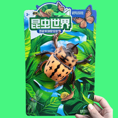 昆蟲仿真模型兒童認知玩具禮物甲蟲蜻蜓蝴蝶蜜蜂塑膠動物擺件套裝