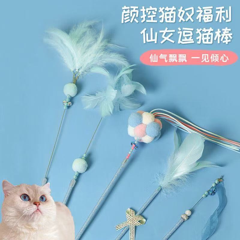 アンドロメダが猫の棒をからかっている猫のおもちゃが交流している|undefined