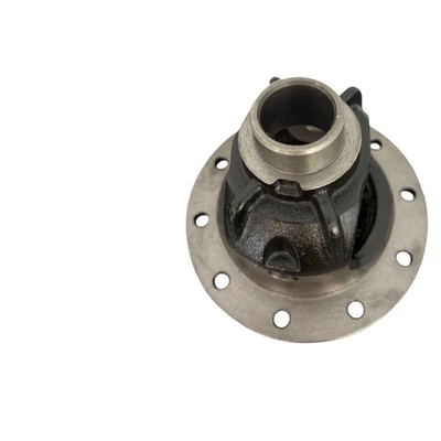 iron components, Differential housing