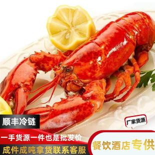 ��ʿ�D���r����������l���� ���ô����r��������r��������