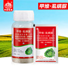 45% Emamectin benzoate Cabbage caterpillar Busck Borer Hanging filarial Spodoptera exigua Pesticide Insecticide