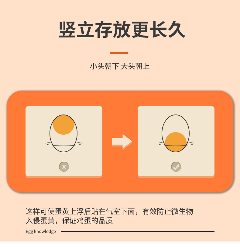 鸡蛋盒_05.jpg