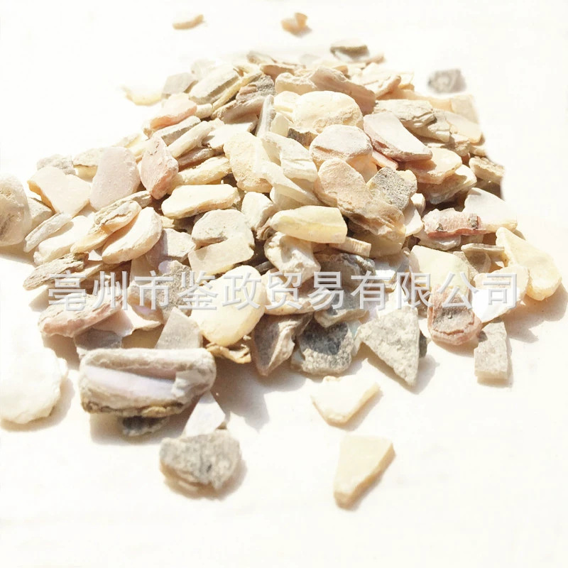 Zhen Zhu Mu Mother of Pearl Powder Raw Herb 500g Dried Concha Margaritifera for Traditional Decoctions quality and texture