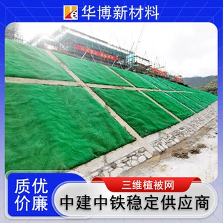 定制护坡三维植被网 施工三维土工网垫高速公路护绿化三维植被网