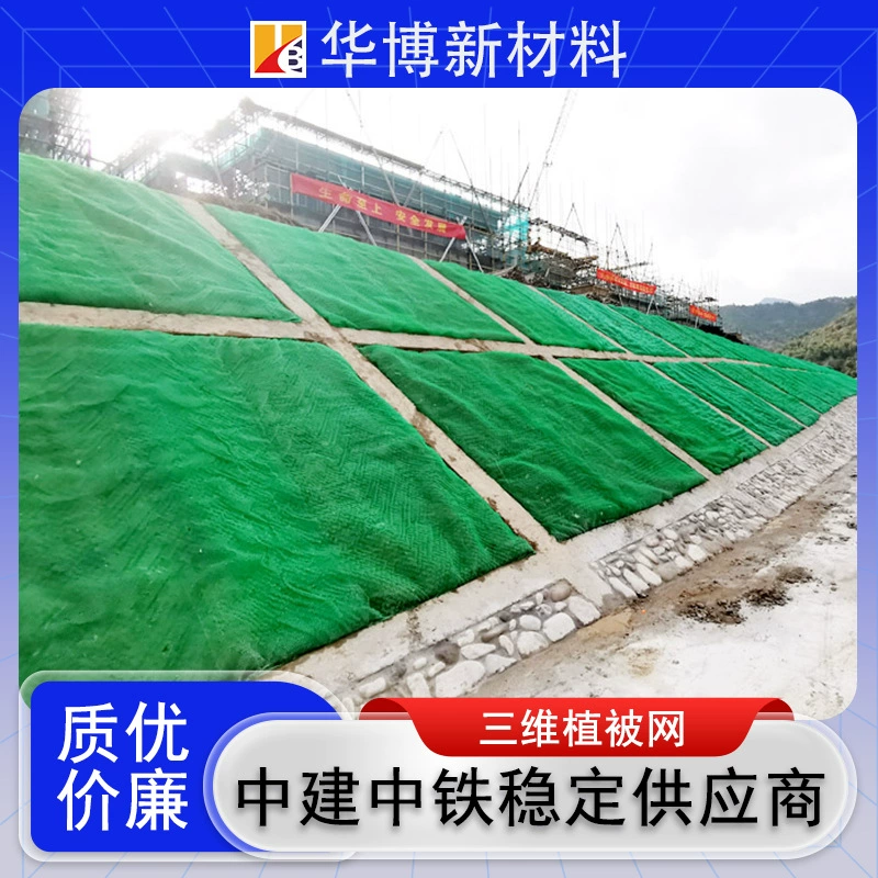 Трехмерная защитная сетка для защиты склонов, трехмерная геомембранная сетка для строительства, трехмерная сетка для защиты и озеленения шоссе.