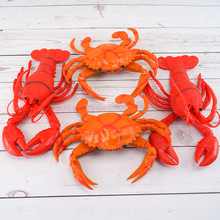 ��������r ܛ�z���з�����������������zģ����ż��ͯBB��