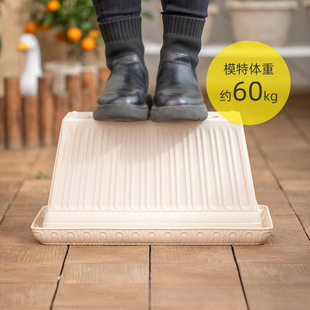*���������ش�̖�L�����L�l��ݮ���Ԑ����z�̨�N��ˮ����