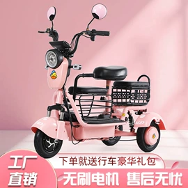 其他电动车