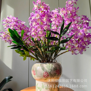 ������ˮʯ���m�����m���辰�͏d�k�����̨�҃Ⱥ��B����С�Gֲ